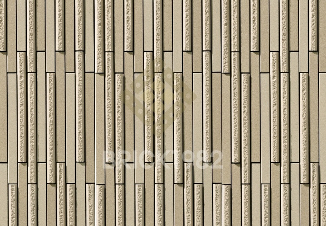 레드에디션-옹블보더